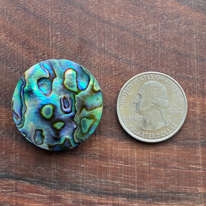 Abalone Cabochon - Round - Flatback