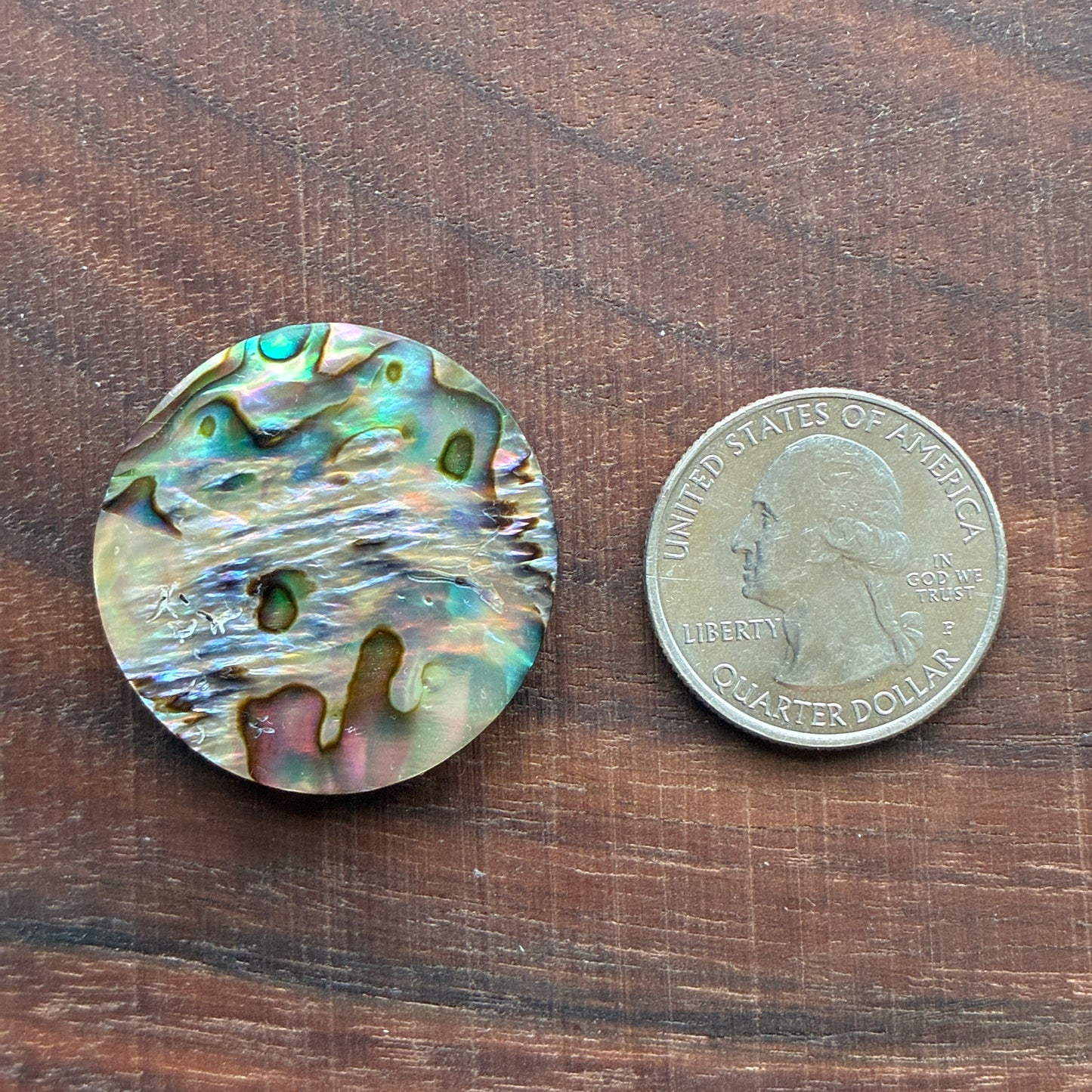 Abalone Cabochon - Round - Flatback