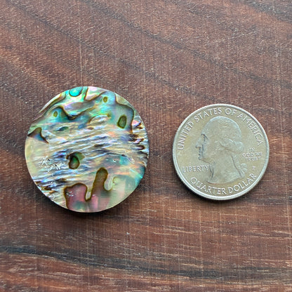 Abalone Cabochon - Round - Flatback