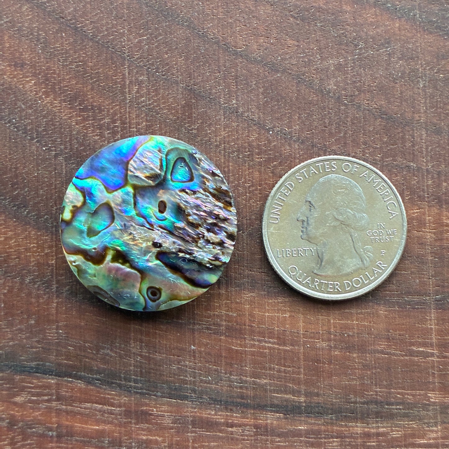 Abalone Cabochon - Round - Flatback