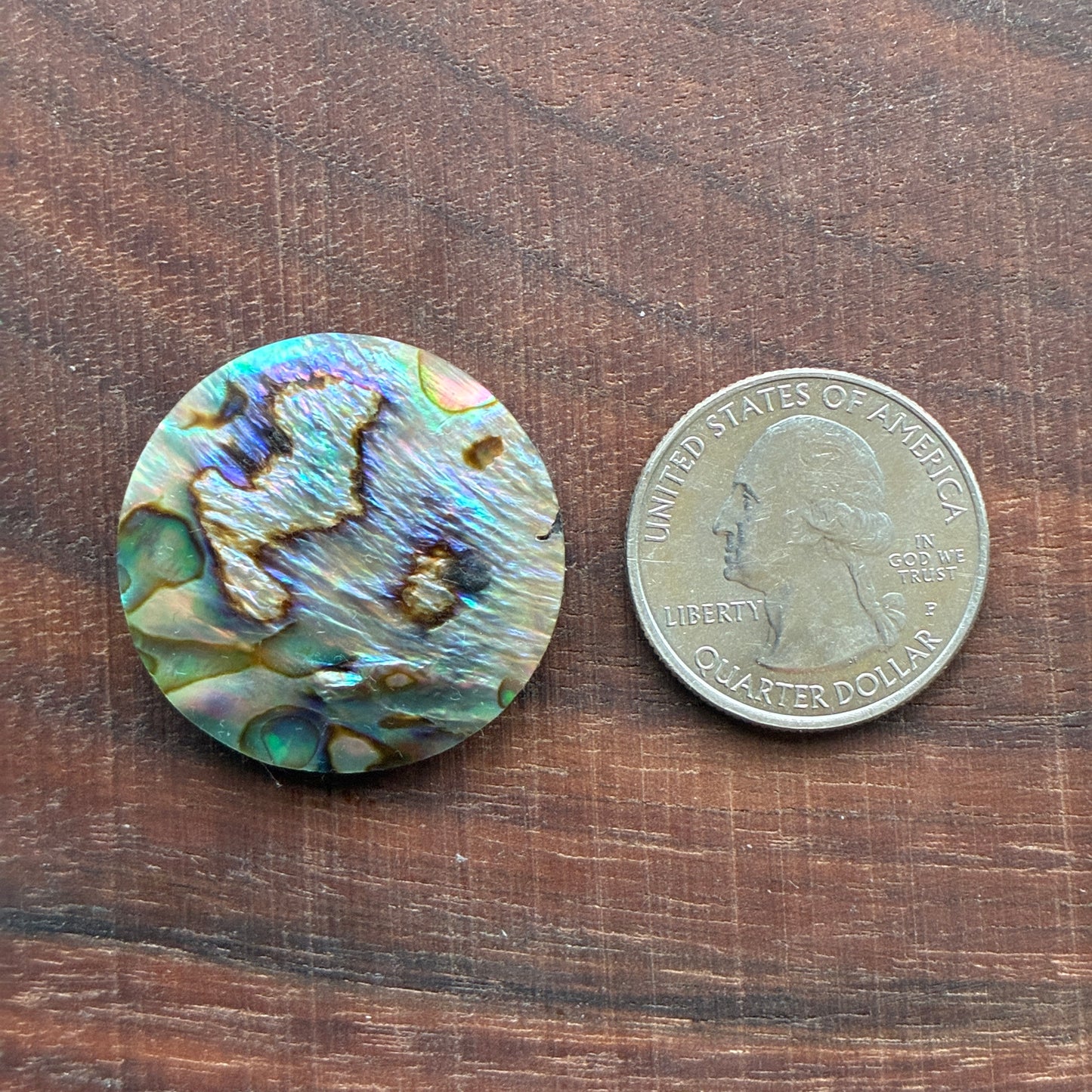 Abalone Cabochon - Round - Flatback