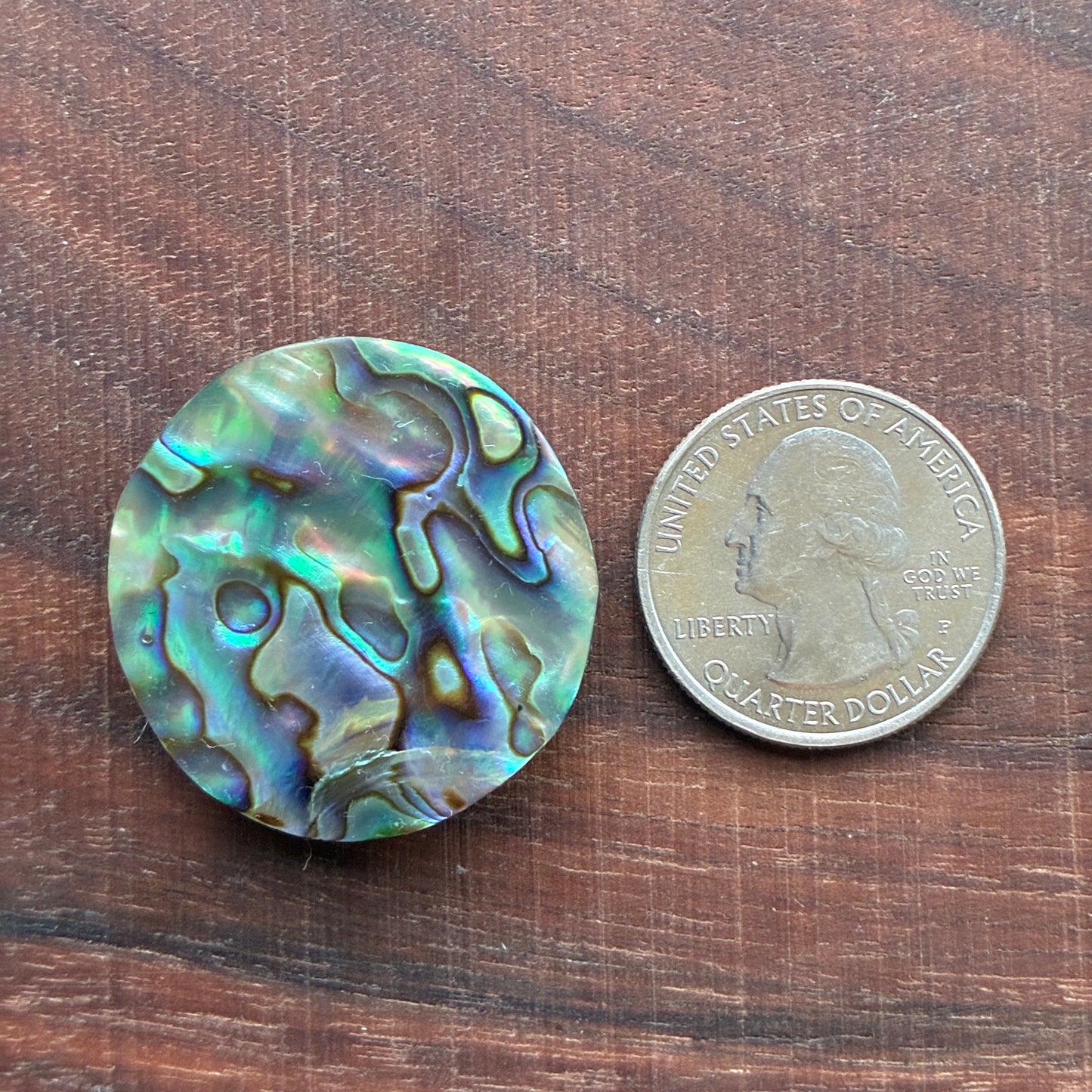 Abalone Cabochon - Round - Flatback