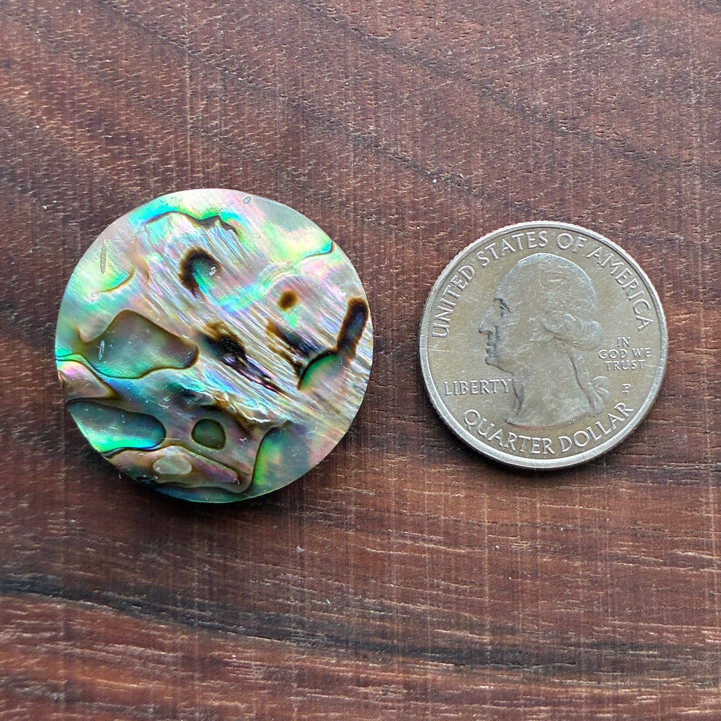 Abalone Cabochon - Round - Flatback