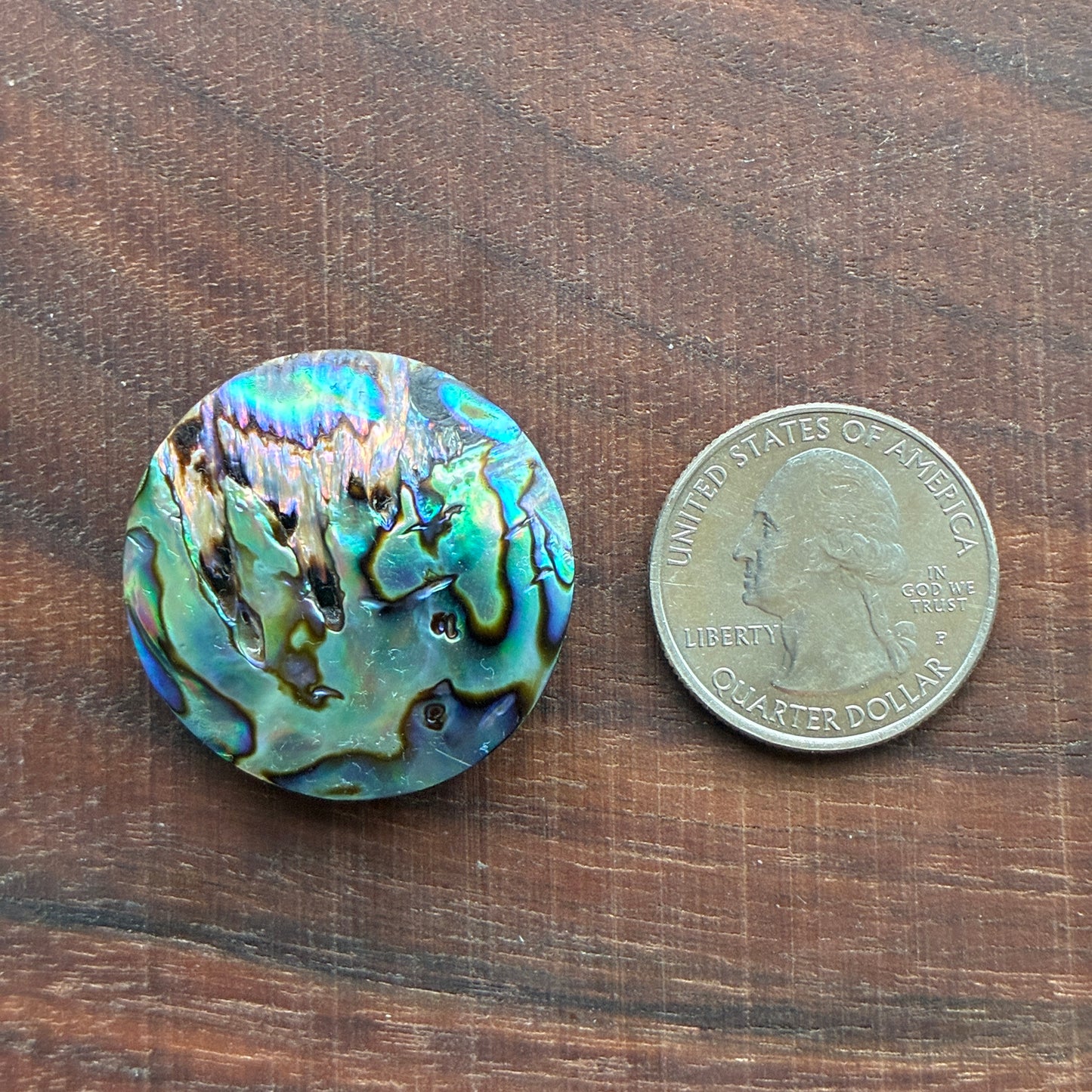 Abalone Cabochon - Round - Flatback