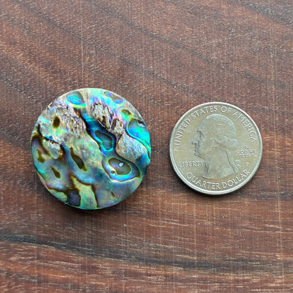 Abalone Cabochon - Round - Flatback