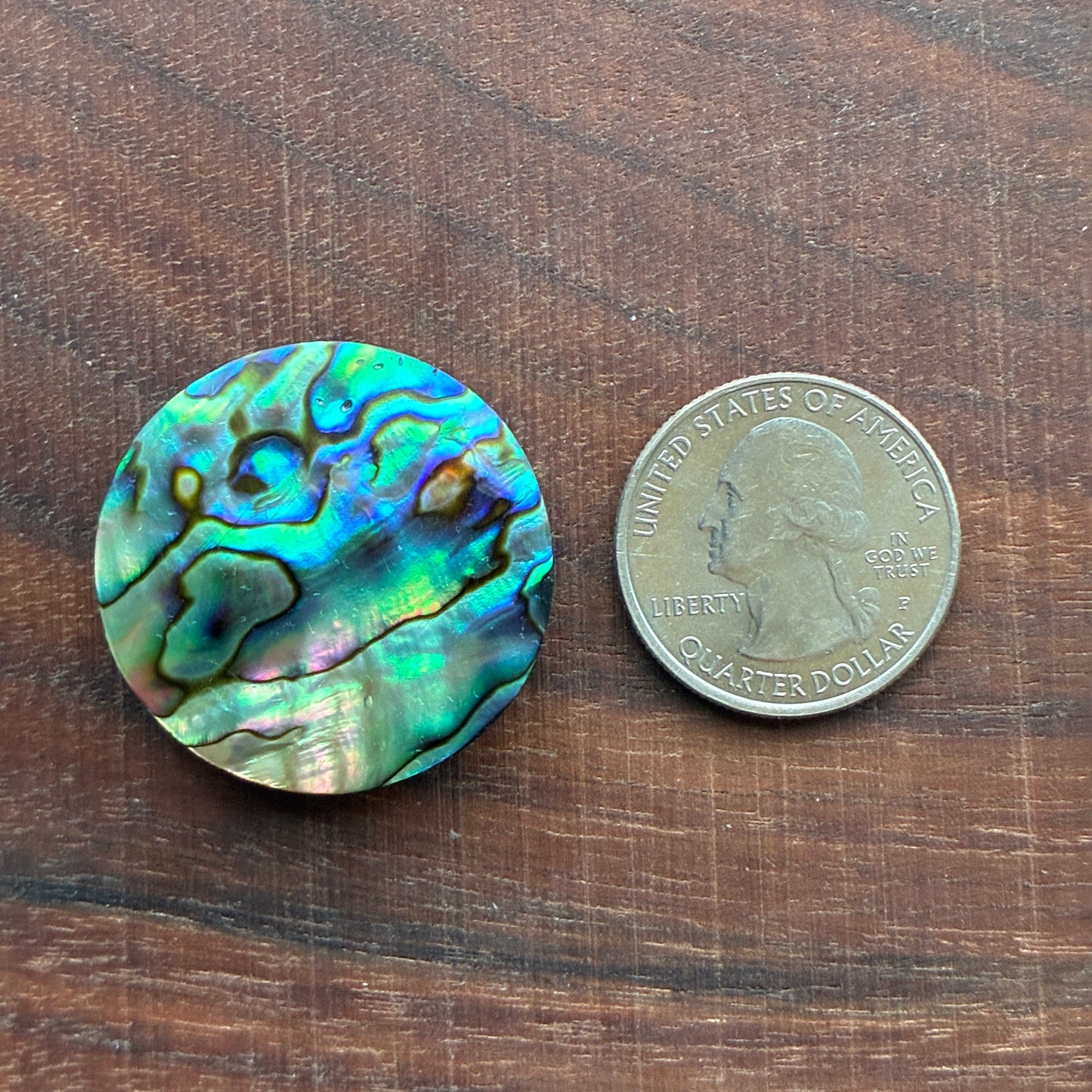 Abalone Cabochon - Round - Flatback