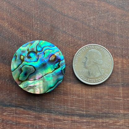 Abalone Cabochon - Round - Flatback
