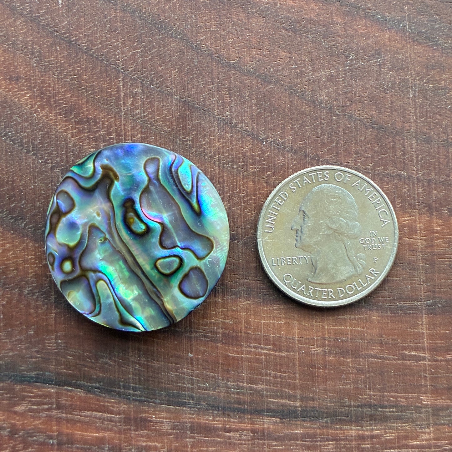 Abalone Cabochon - Round - Flatback