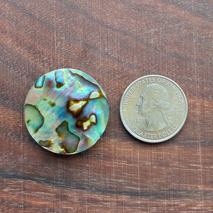 Abalone Cabochon - Round - Flatback