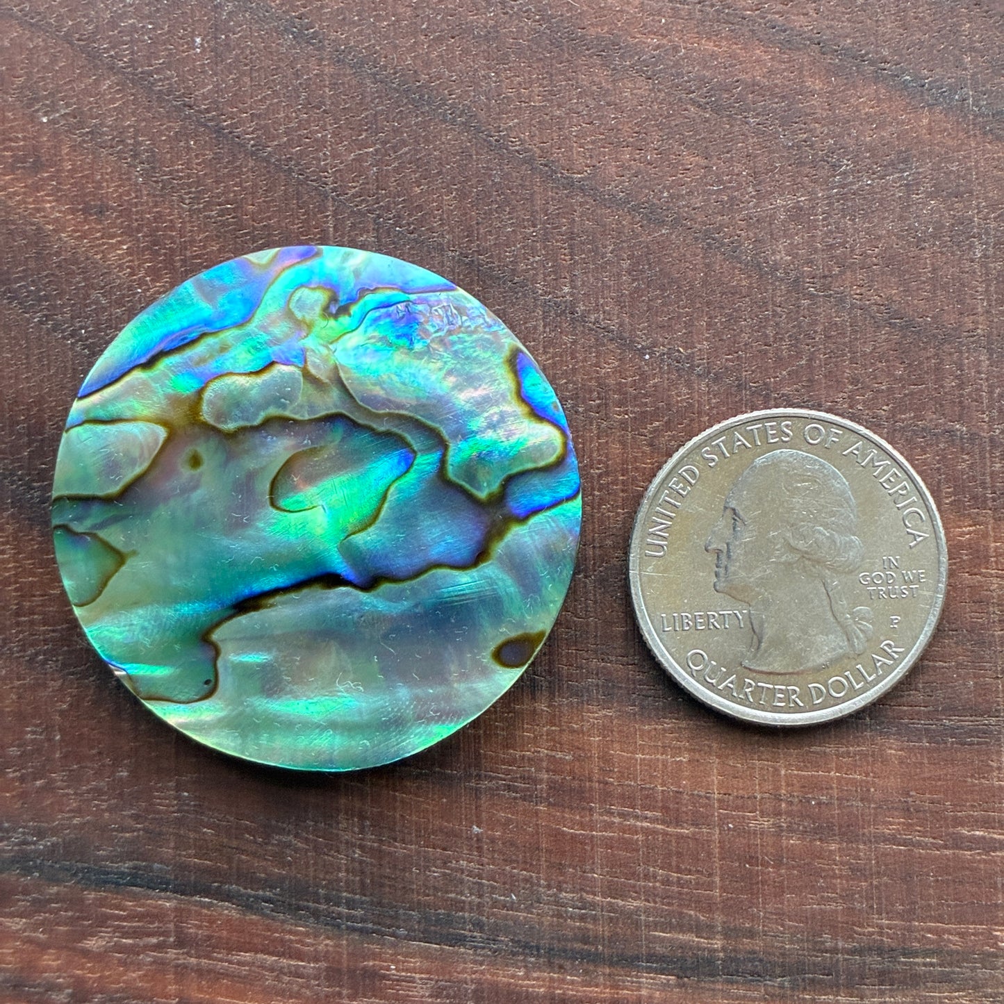 Abalone Cabochon - Round - Flatback