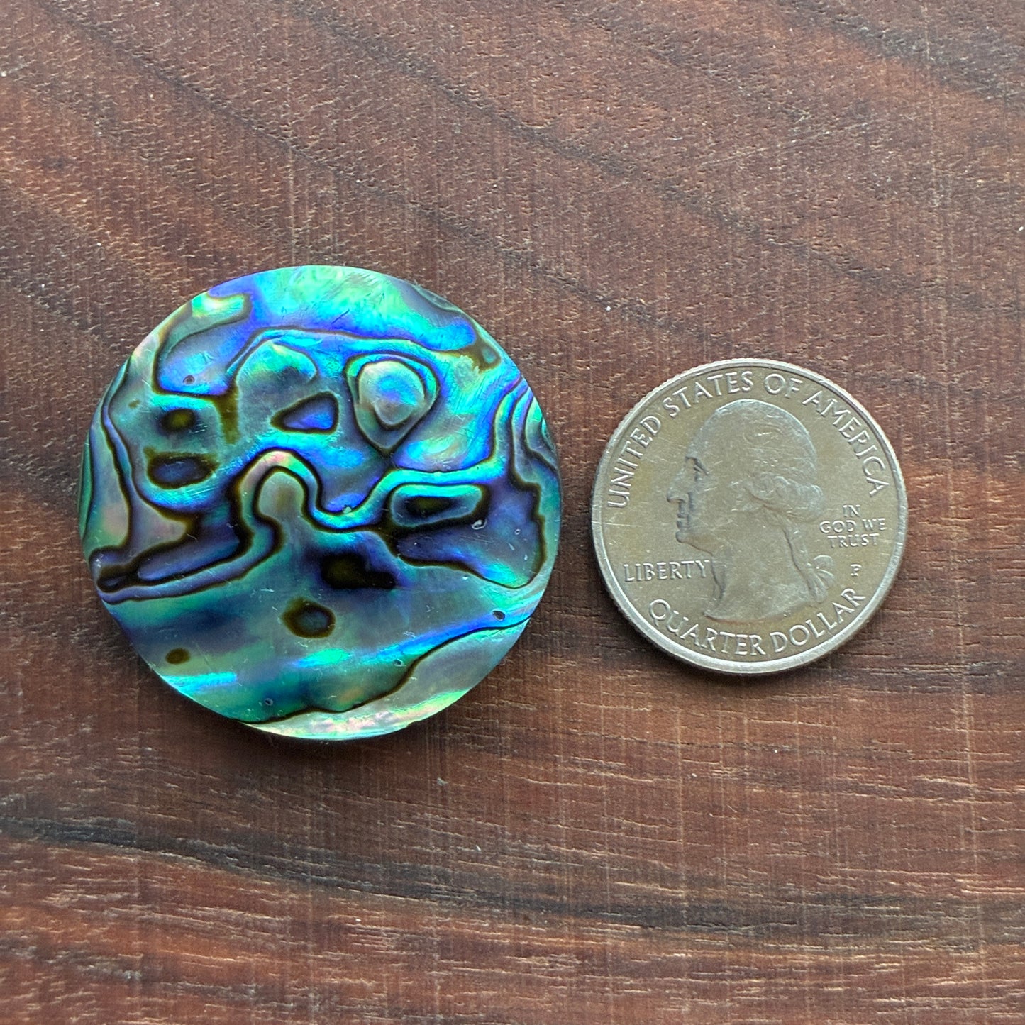 Abalone Cabochon - Round - Flatback