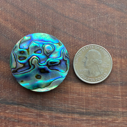 Abalone Cabochon - Round - Flatback