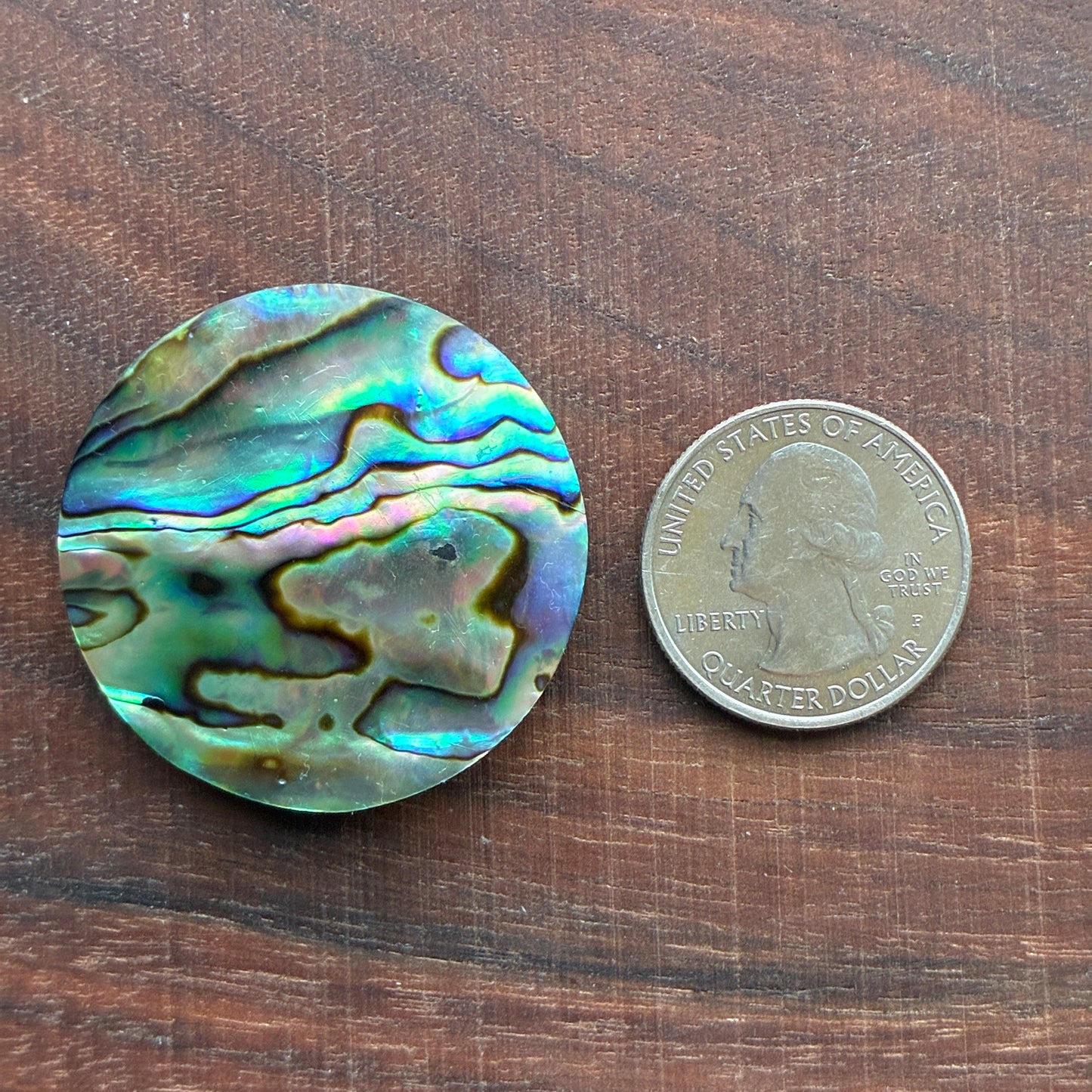 Abalone Cabochon - Round - Flatback
