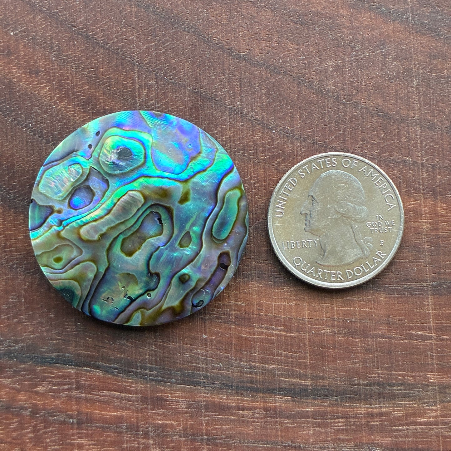 Abalone Cabochon - Round - Flatback