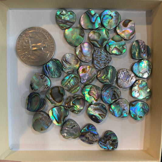Loose Bead - Abalone - Heart - Round - Rectangle - Tear