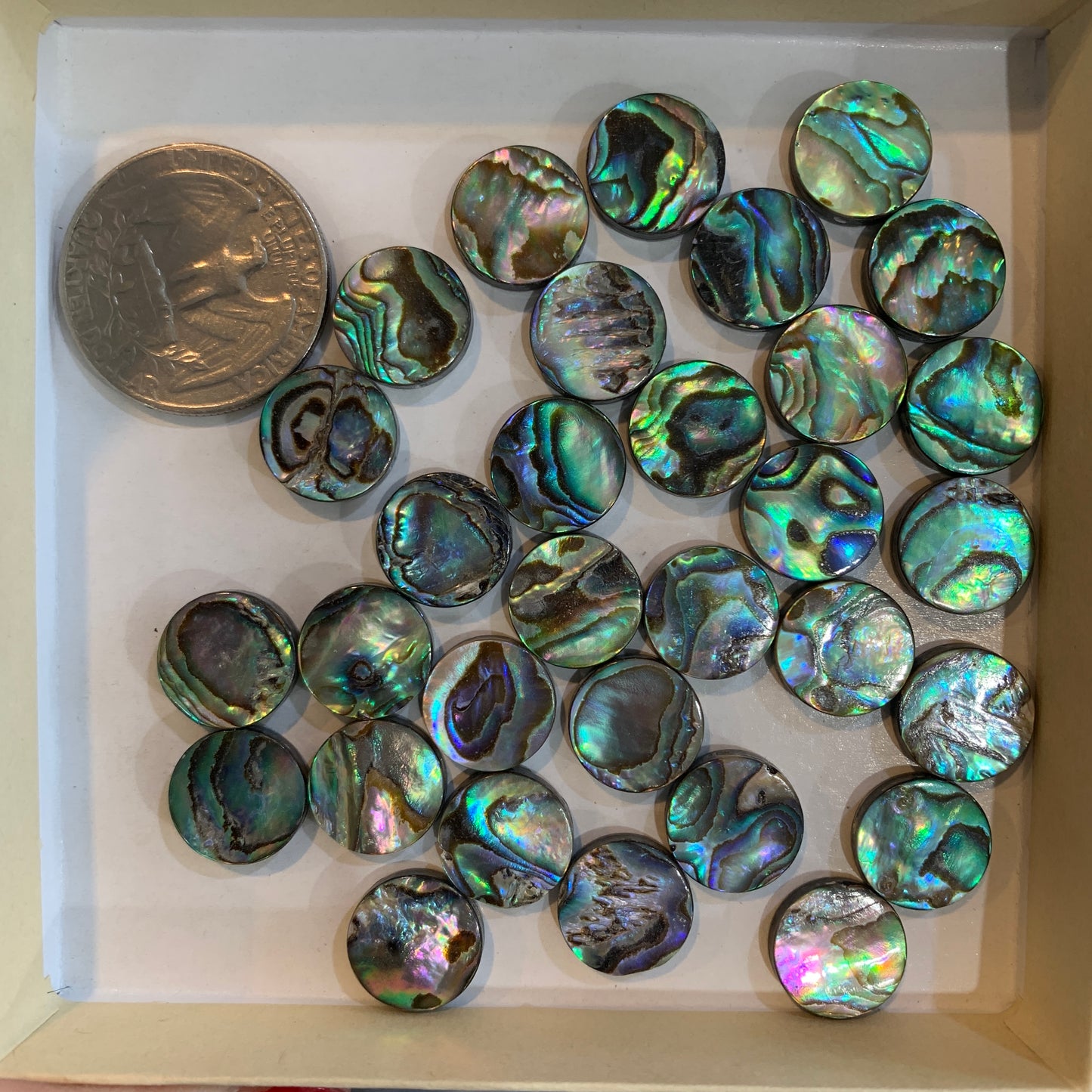 Loose Bead - Abalone - Heart - Round - Rectangle - Tear