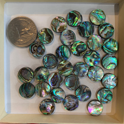 Loose Bead - Abalone - Heart - Round - Rectangle - Tear