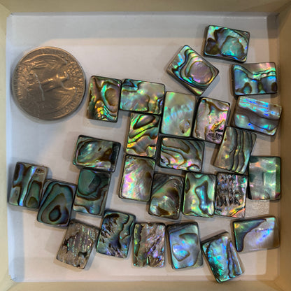 Loose Bead - Abalone - Heart - Round - Rectangle - Tear