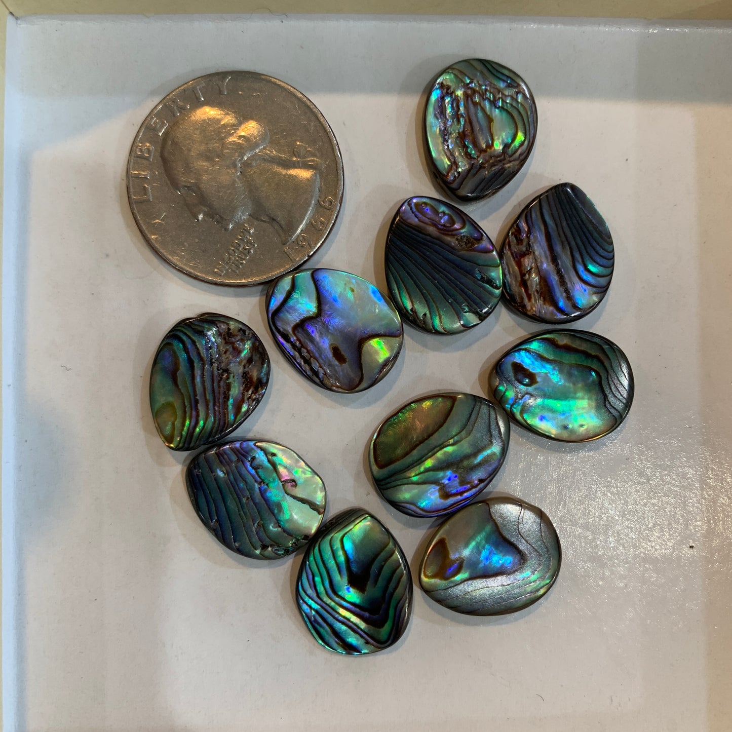 Loose Bead - Abalone - Heart - Round - Rectangle - Tear