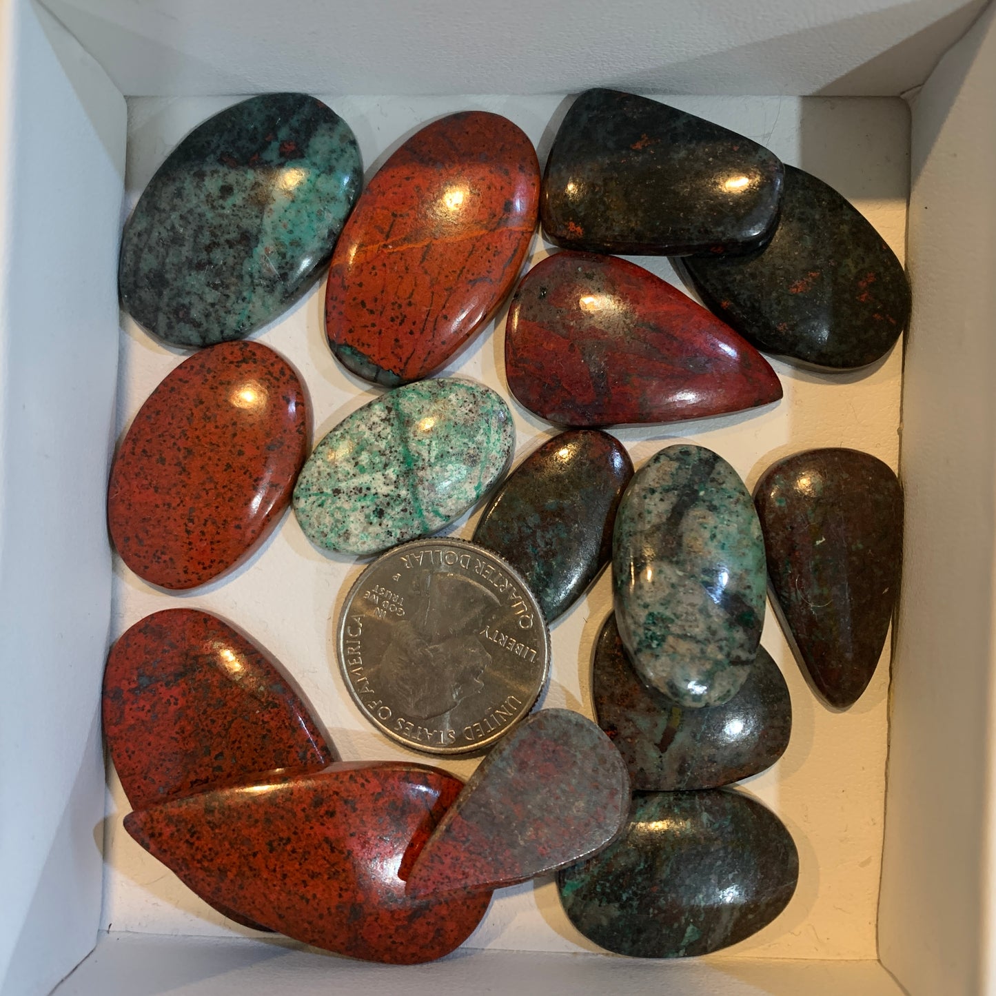 $2.5 Cabochon - Argonite - Serpentine - Sonora - Polka Dot Chalcedony - Yellow Dendritic - Palm Root