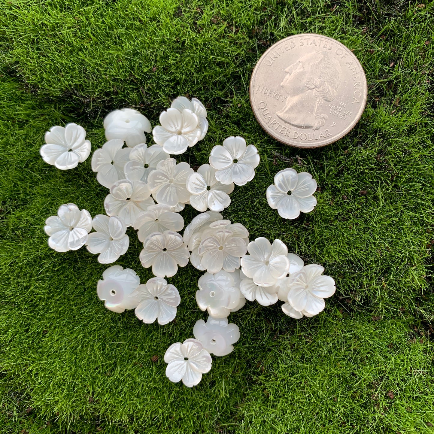 Mother of Pearl - Mini Flower - 10mm