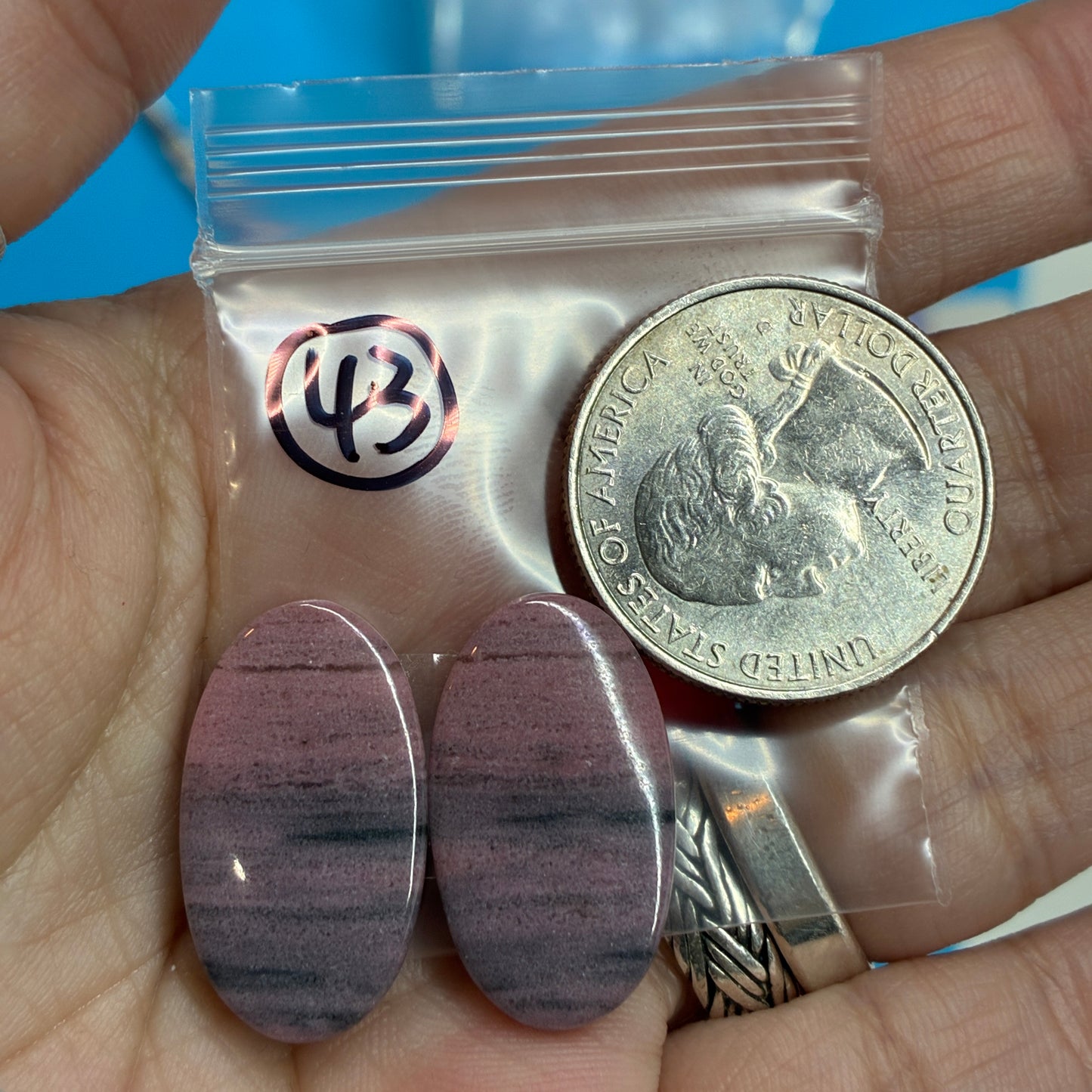 Rhodonite Cabochon Pair