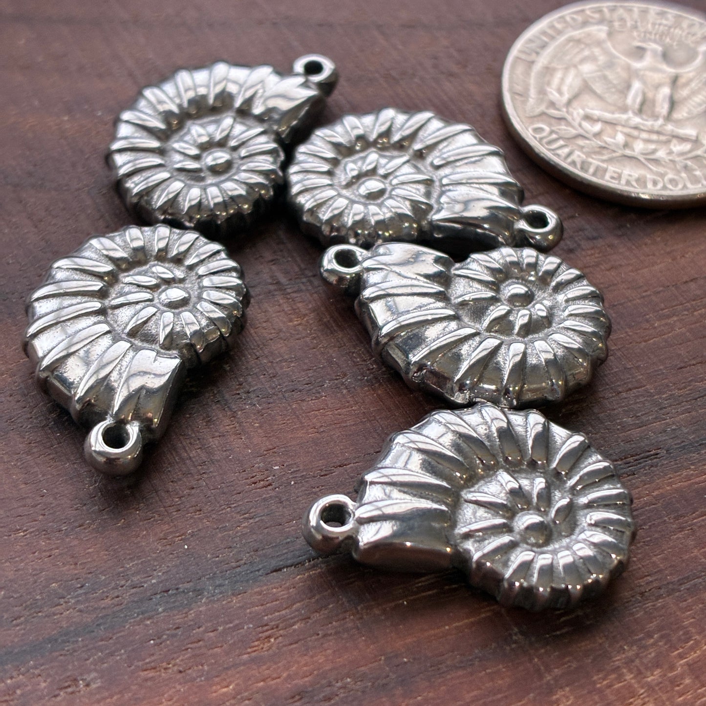 Stainless Steel Charm - Shell Ammonite Shape