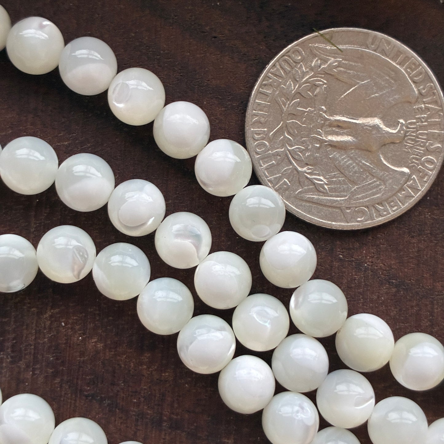 6mm Shell Round Bead Strand