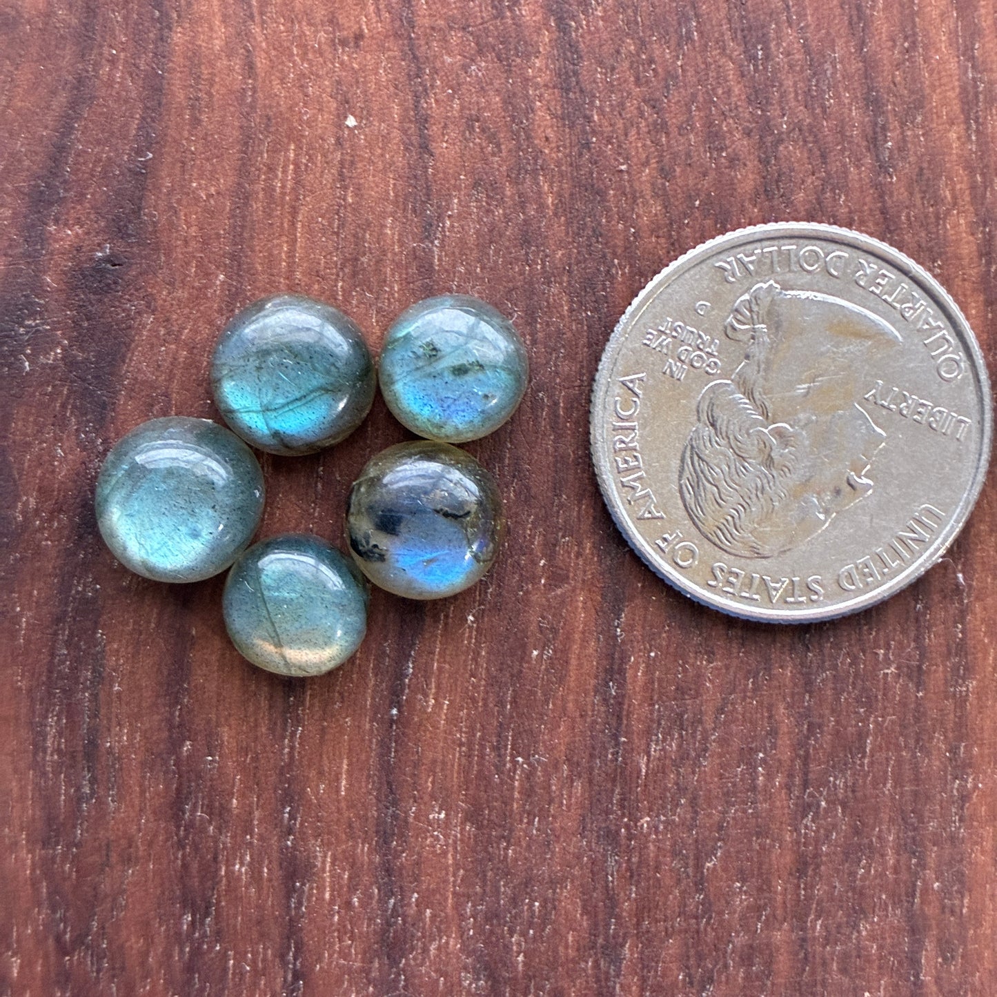 Five 10mm blue Labradorite round cabochon stones next to a U.S. quarter on a wooden surface