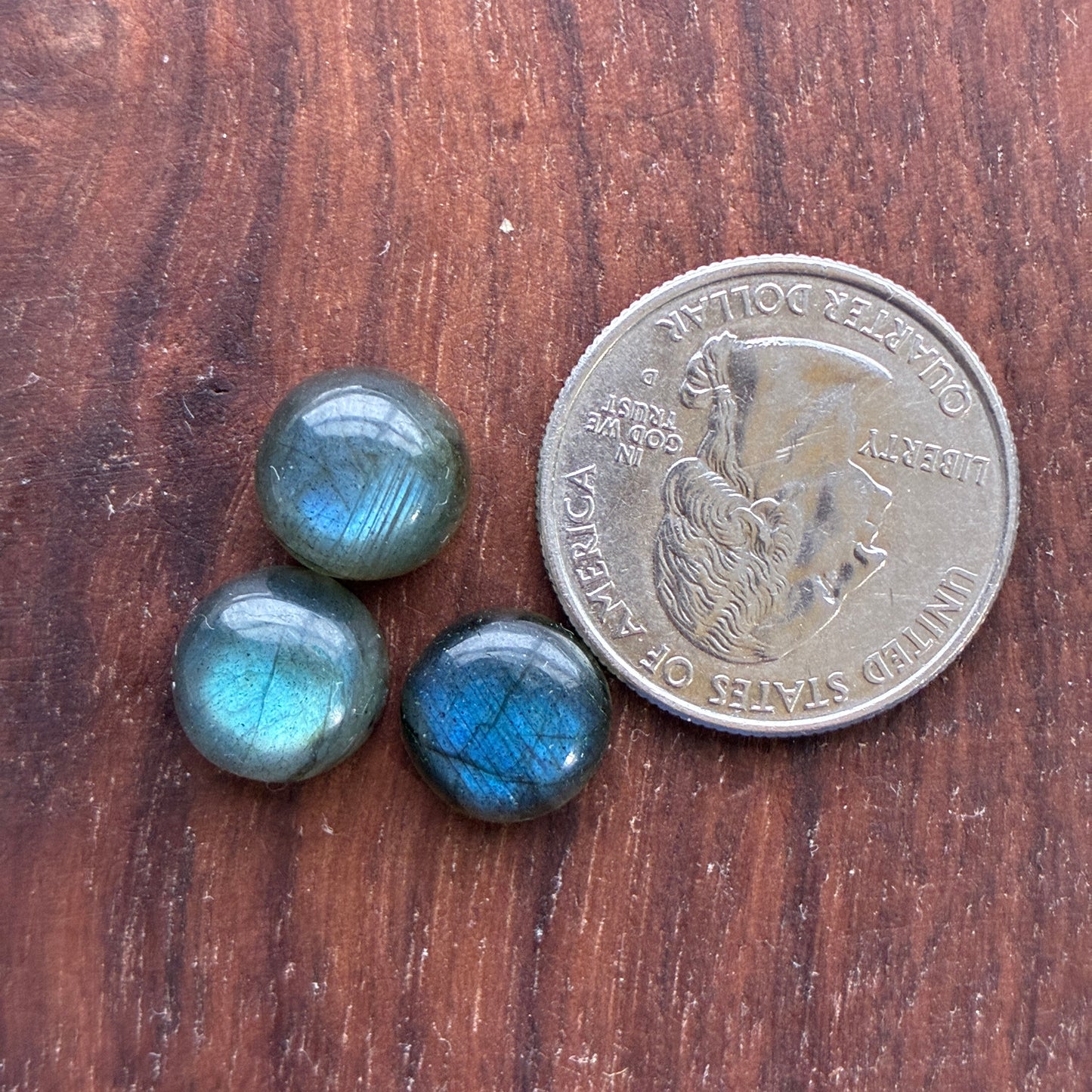 Three 11mm blue labradorite round cabochon stones next to a U.S. quarter on a wooden surface