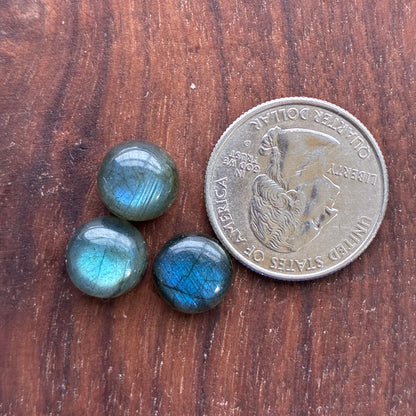 Three 11mm blue labradorite round cabochon stones next to a U.S. quarter on a wooden surface