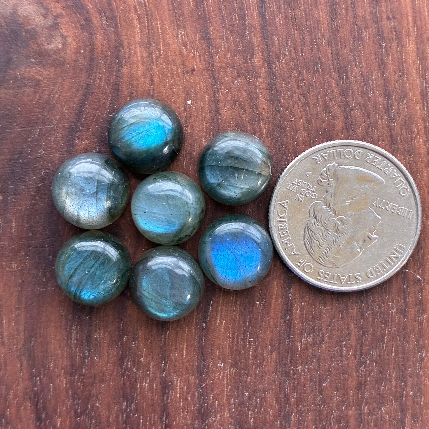seven  12mm Blue Labradorite round cabochon gemstones on a wooden surface with a coin for scale