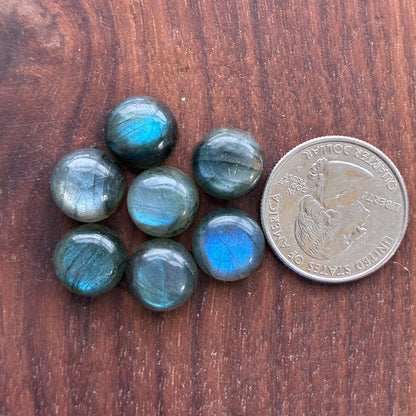 seven  12mm Blue Labradorite round cabochon gemstones on a wooden surface with a coin for scale