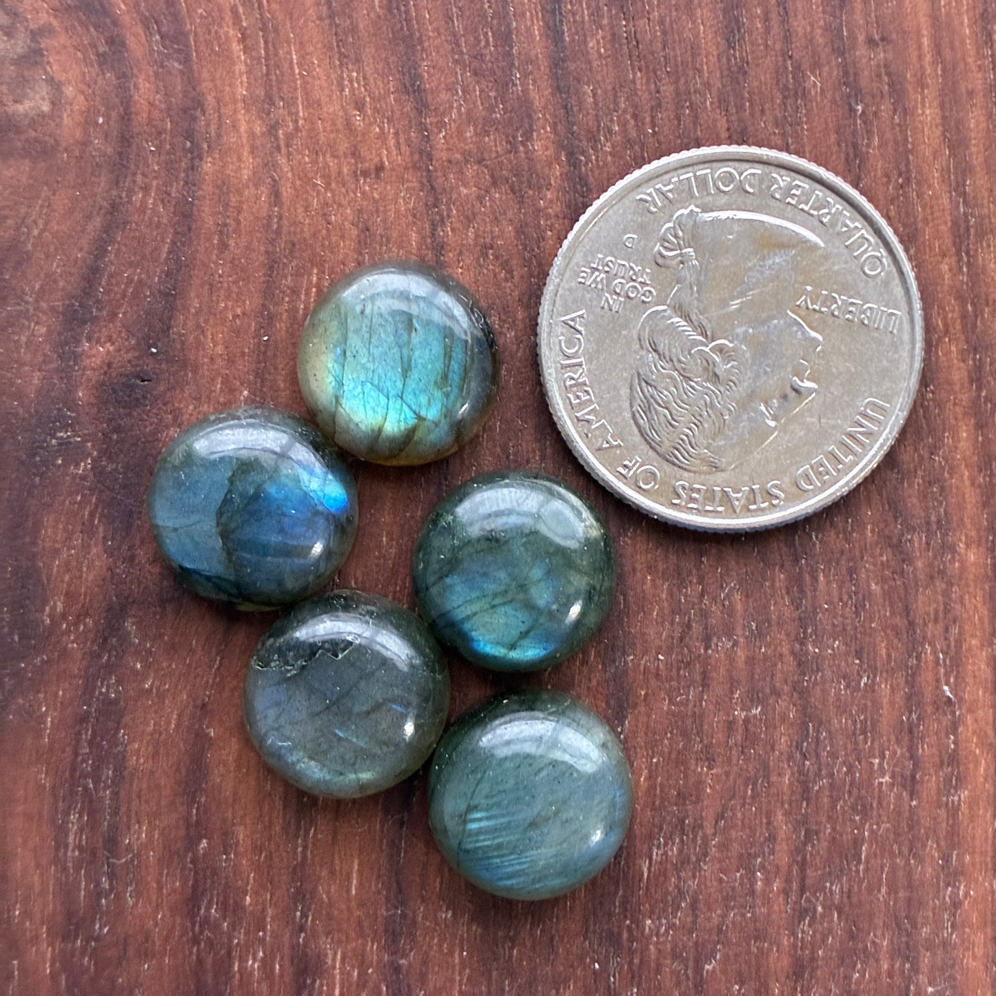Five 13mm round Labradorite cabochons stones on a wooden surface with a quarter for scale.