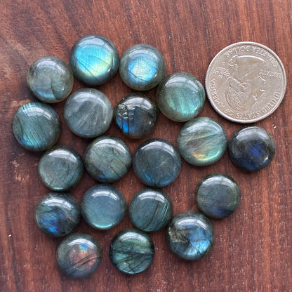 Collection of 14mm Labradorite round cabochon stones on a wooden surface with a coin for scale.