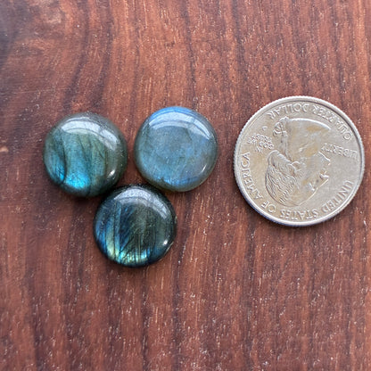 Three 15.5mm blue labradorite round cabochon stones on a wooden surface next to a quarter for size comparison.
