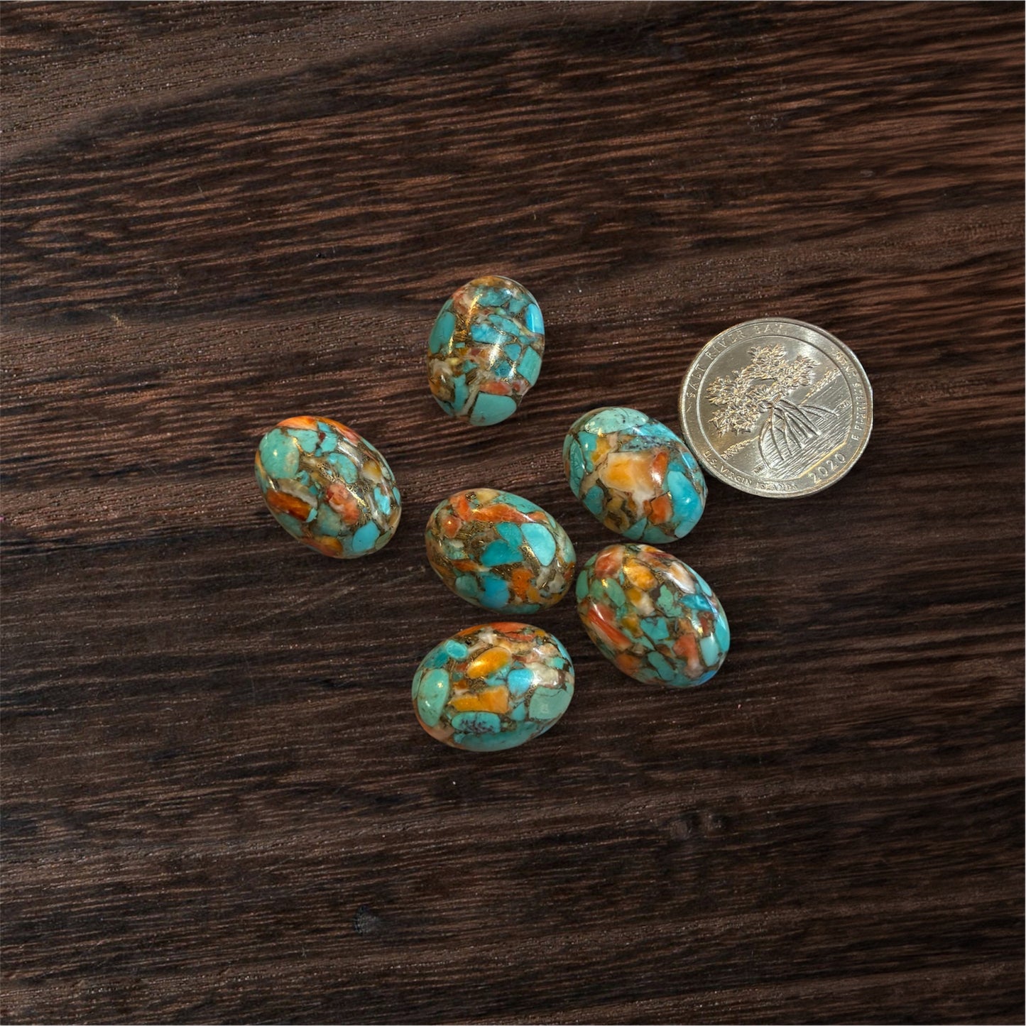 Spiny Oyster Turquoise stones on a wooden surface with a coin for scale