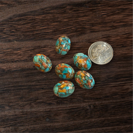Spiny Oyster Turquoise stones on a wooden surface with a coin for scale