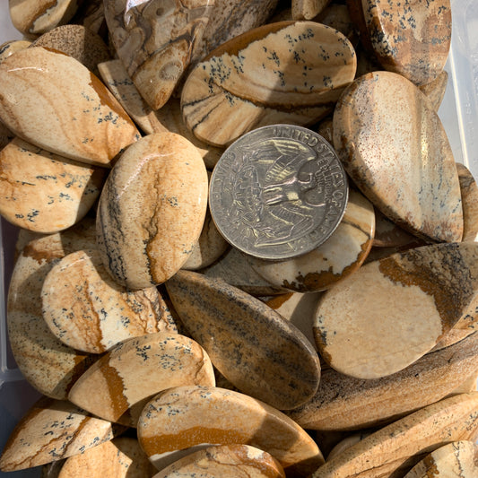 Picture Jasper Cabochon