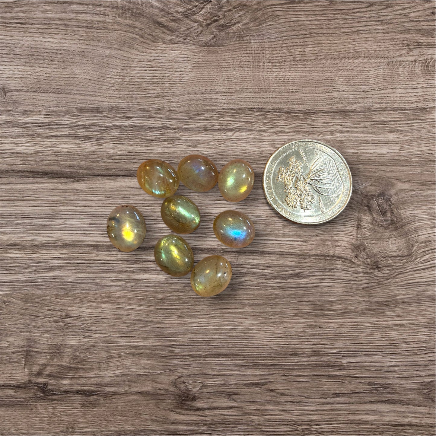 Small oval Cabochon - 10 x 12mm - Translucent - Labradorite