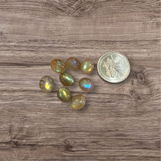 Small oval Cabochon - 10 x 12mm - Translucent - Labradorite