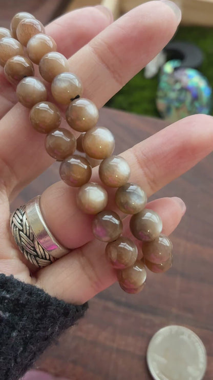 Chocolate Moonstone 7.5mm Bead Bracelet