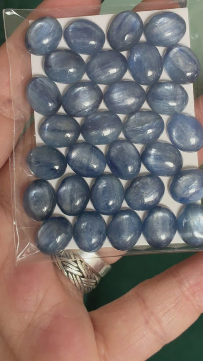 OVERSEAS ORDER - Kyanite 8x10mm Oval Cabochon