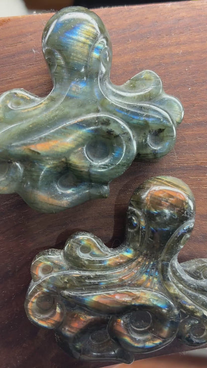 Labradorite Carving - Octopus - Flatback